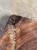 IMG_4972 Large.jpeg